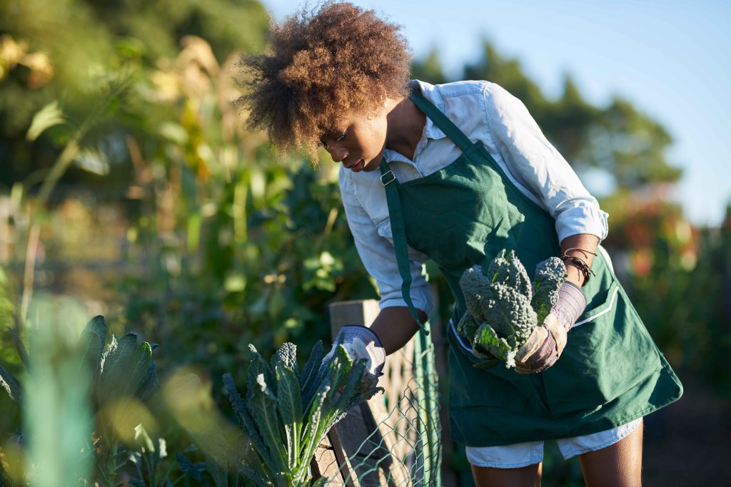 Qunukwebe Holdings African Female Communal Garden Farming