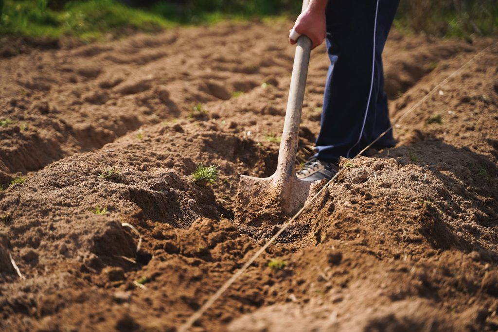 Qunukwebe Holdings Farming Soil Cultivation