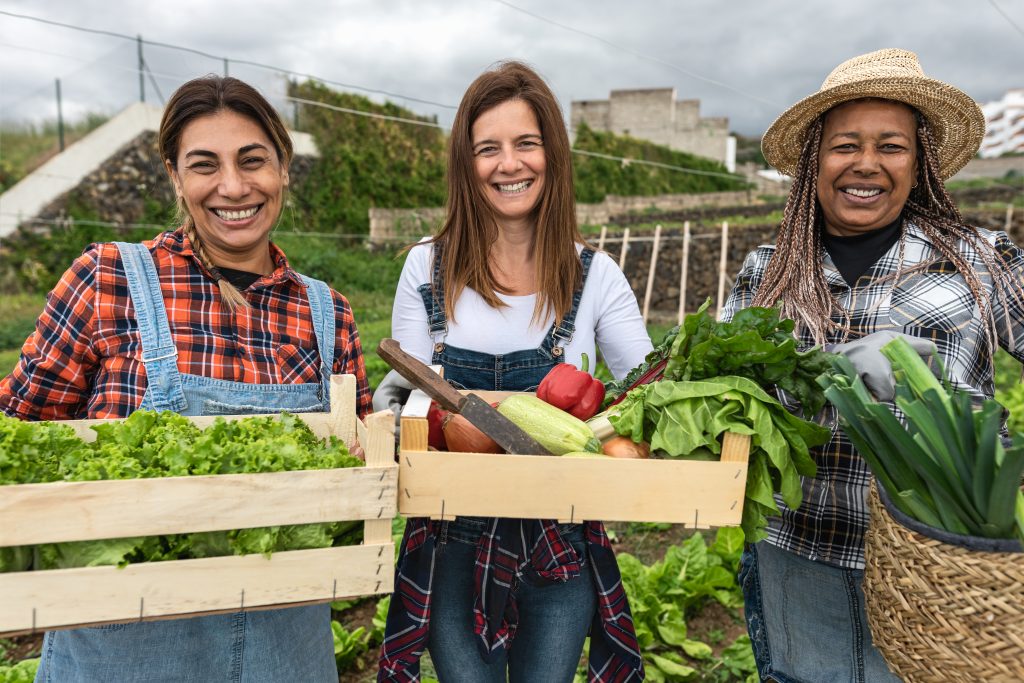 Qunukwebe Holdings Multiracial female farmers Working Together In Farming and Harvesting